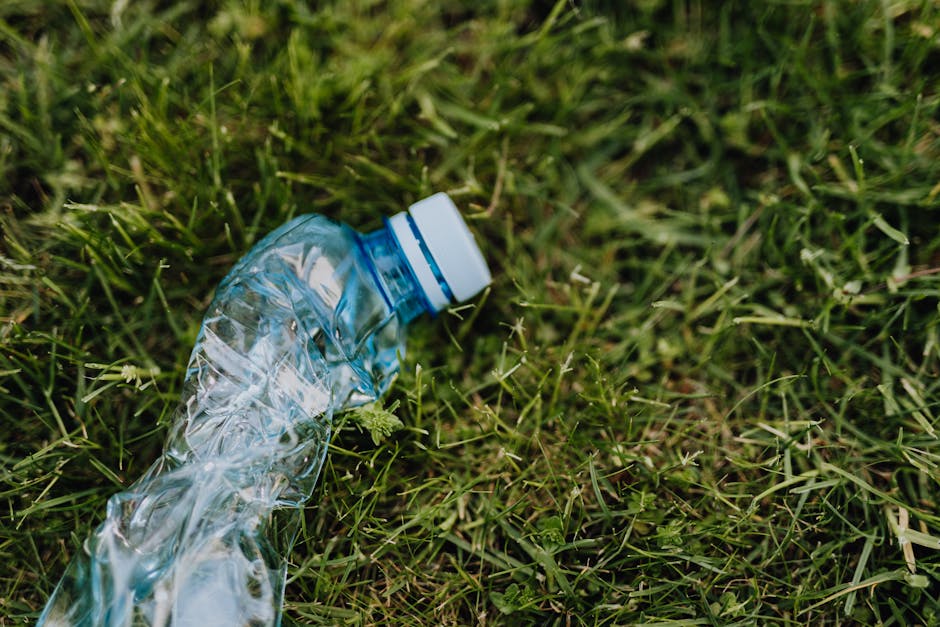 Southwark Council rubbish disposal rules for Dulwich homes